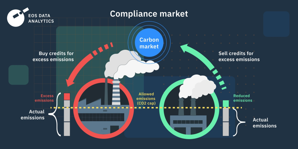 CCS carbon credits market